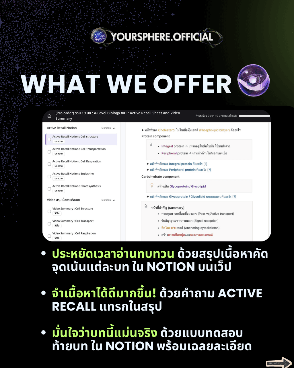 https://storage.openmirai.com/68c6d9c2c2208c62358a6475/507a1c42-d4b2-4b41-8e1c-99e27cba856c-2.png